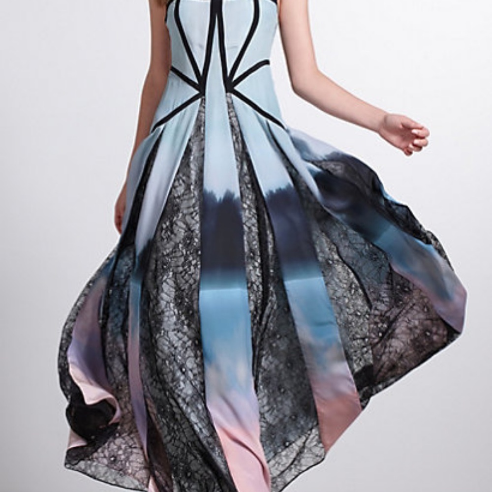 Designer SOPHIE DURAN 2012 Silk & Lace Norwegian FJORDS Flowy Midi Dress size 4